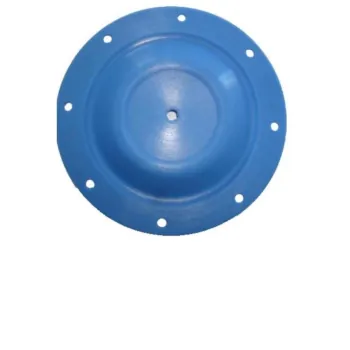 Membrana grande do servo assistido Euro / Madema