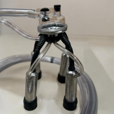 Conjunto para ordenha canalizada sem pulsador