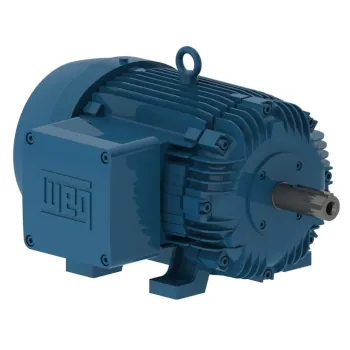 Motor 3 cv mono baixa rotação FACHADO ( WEG ) 