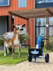 MILK móvel sem conjunto bomba 450 motor 2 cv
