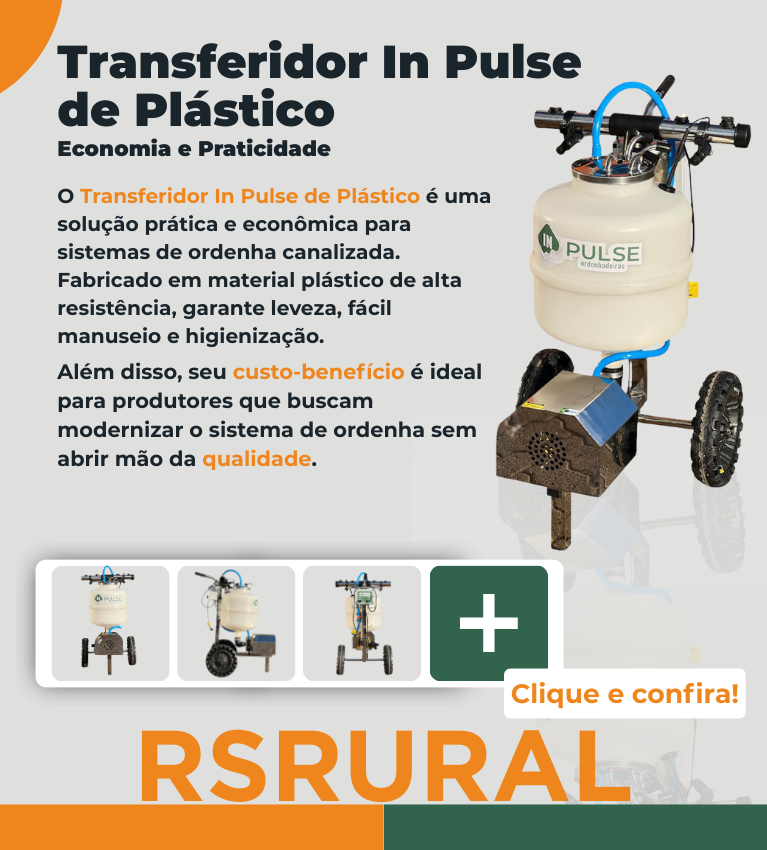banner Transferidor Plástico