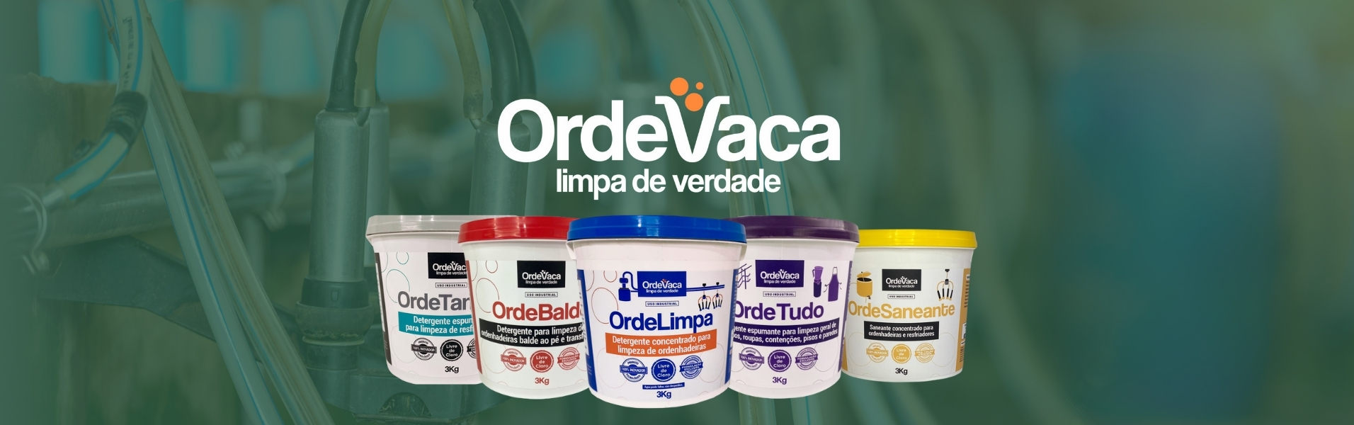 banner OrdeVaca