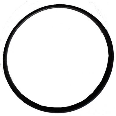 ANEL DE VEDAÇÃO DO COLETOR 450ML Gimenez ANEL DE VEDAÇÃO DO COLETOR 450ML Gimenez