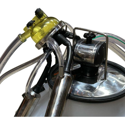 Conjunto De Ordenha Para Vacas In Pulse Pulsador Na Tampa